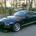 Ford Mustang Shelby GT