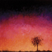 Sunrise with tree (John Costanza)